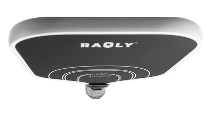 RAQLY Play Sharply Pickleball Paddle